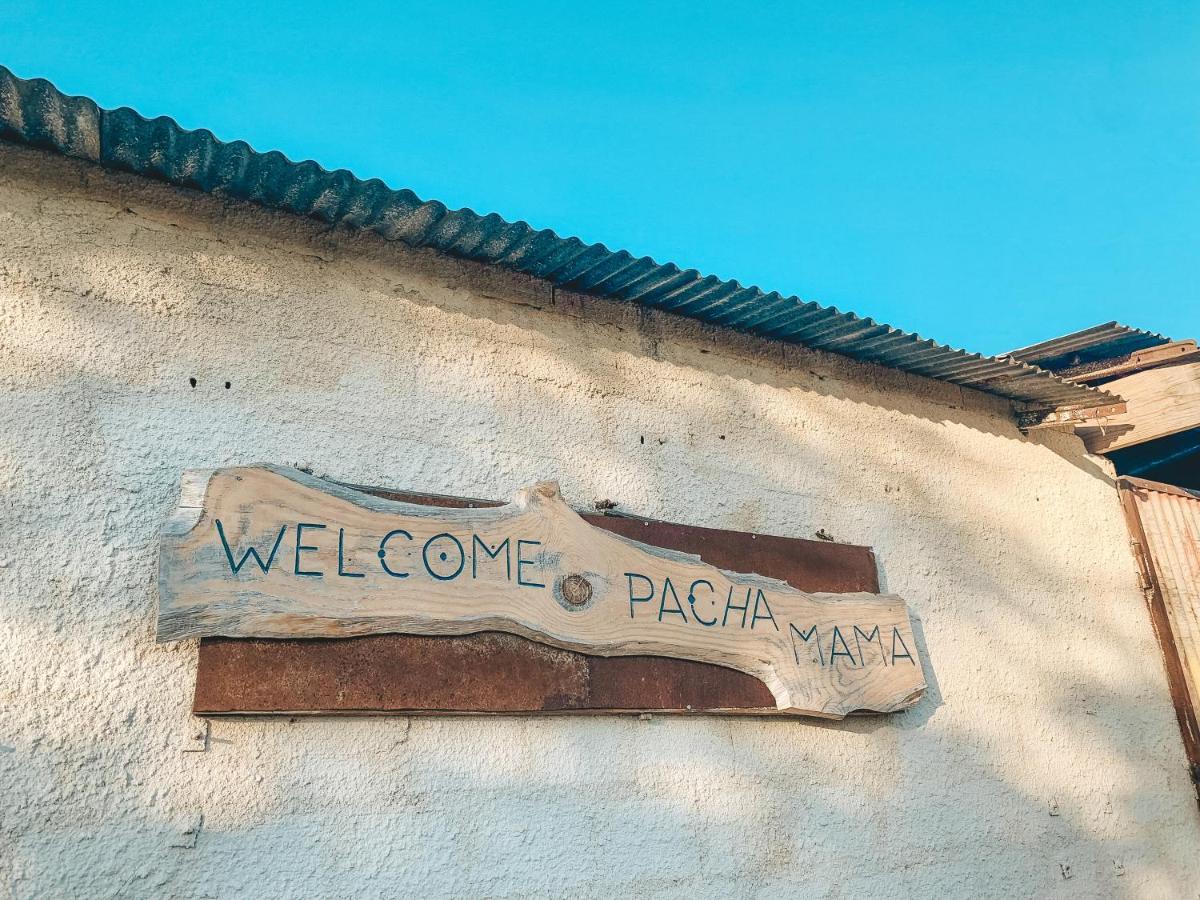 Visit Pachamama Community Lägenhet Alcácer do Sal Exteriör bild